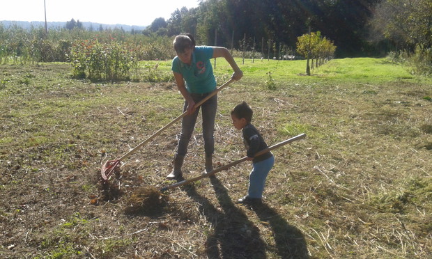Pomocna dłoń albo raczej grabie.