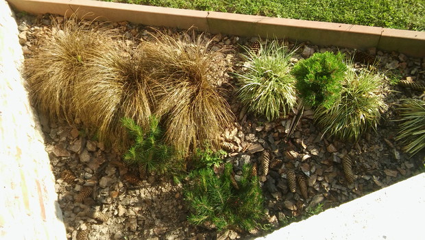 Pprzy tarasie trawki :)