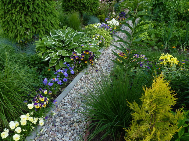 Rabata przy żwirowej ścieżce.