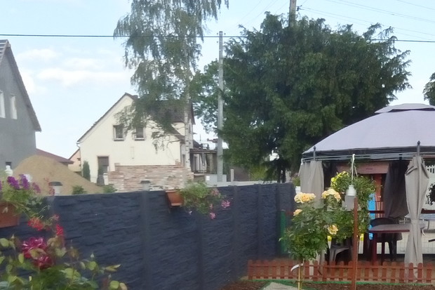 Róże oraz agrest. Pomysł i wykonanie własnoręcznie