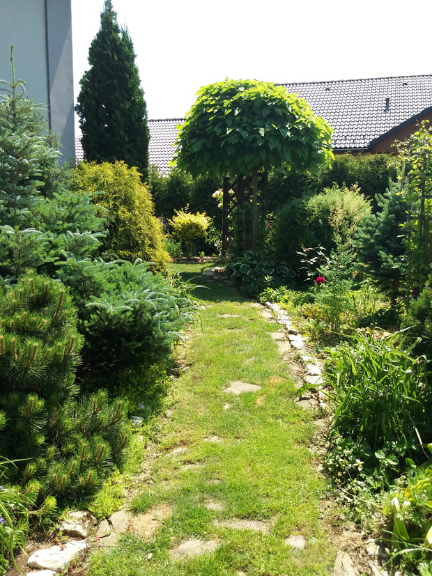 Ścieżki powstały z kamieni, które własnoręcznie układałam. Z czasem schowały się nieco w ziemię i świetnie utwardzają przejścia.