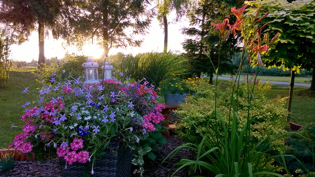 sezonowe kompozycje na jednej z rabat