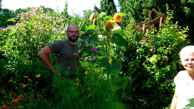 Syn lubi słoneczniki