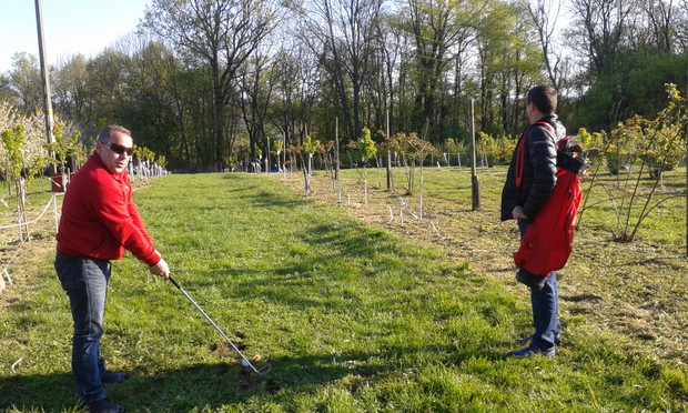 Tylko kto te piłki znajdzie?