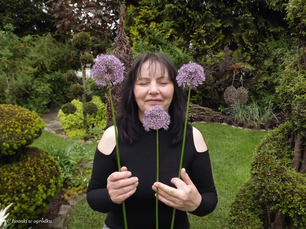 Uwielbiam czosnek ozdobny. :)