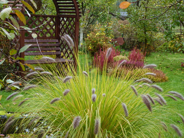 W jesiennej odsłonie