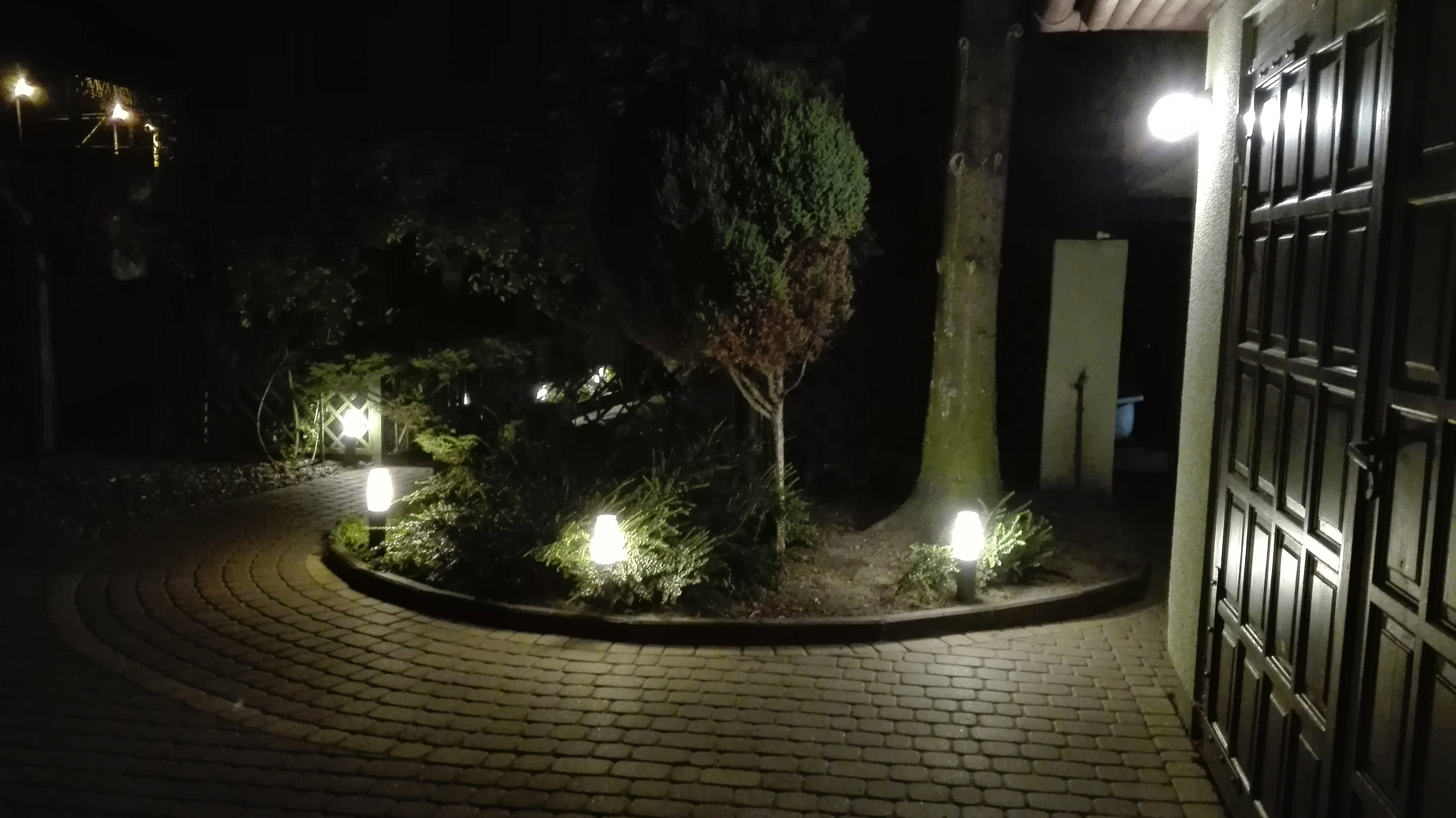 Wejście do ogrodu  nocą. Oświetlona irga, tuje i okazały świerk.