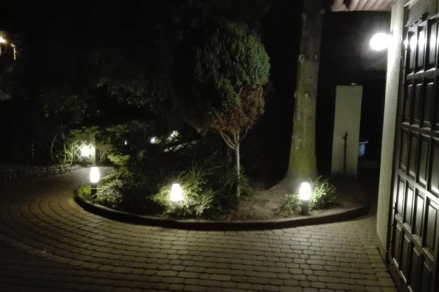 Wejście do ogrodu nocą. Oświetlona irga, tuje i okazały świerk.