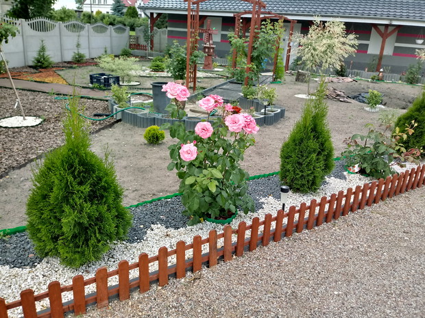 Widok na ogród z wjazdu na posesję