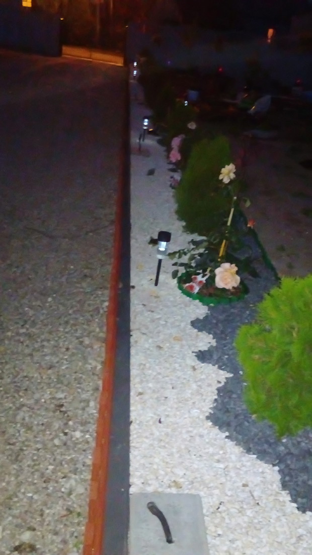 Wokół całego ogrodu róże z tujami wyłożone kamieniem czarno-białym oraz korą zwykłą i kolorowymi zrębkami