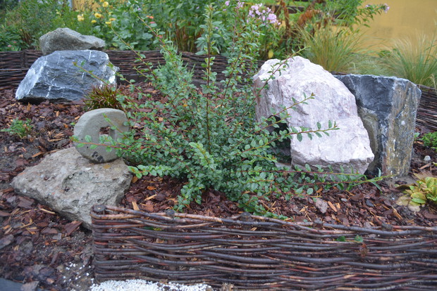 Wykorzystanie wiklinowych płatków do kompozycji rabat