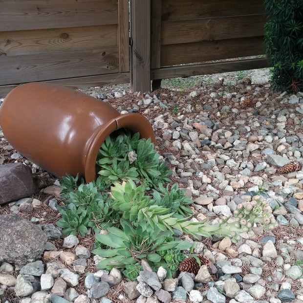 Wykorzystujemy również stare, zużyte już wazony, które pięknie komponują ze skalniakami i kamieniami.