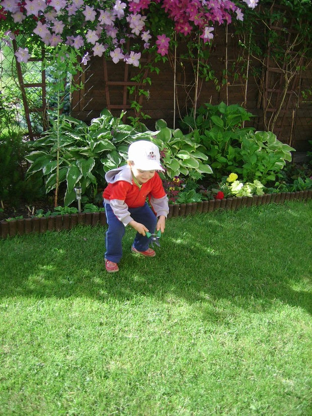 Ciach, ciach - u nas każdy ma swój sekator.