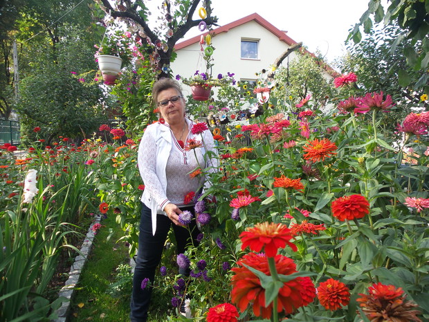 Cynie na moją wysokość.