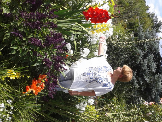 Dorodne mieczyki lub jak kto woli gladiole.