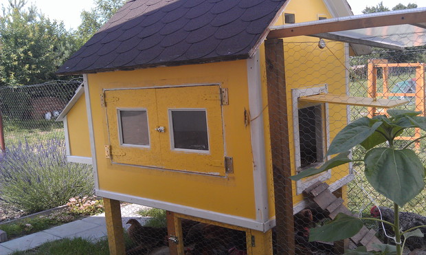 Duma męża - kurnik:) Nasz synek uwielbia patrzeć na kury, pomagać w ich opiece czy przynosić jajeczka do domu.A smak ekologicznych jajek - obłędny!