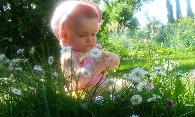 Gdzie strumyk płynie z wolna
Rozsiewa zioła maj
Stokrotka rosła polna...