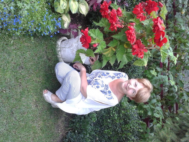 I swoje miejsce również znalazły begonie.