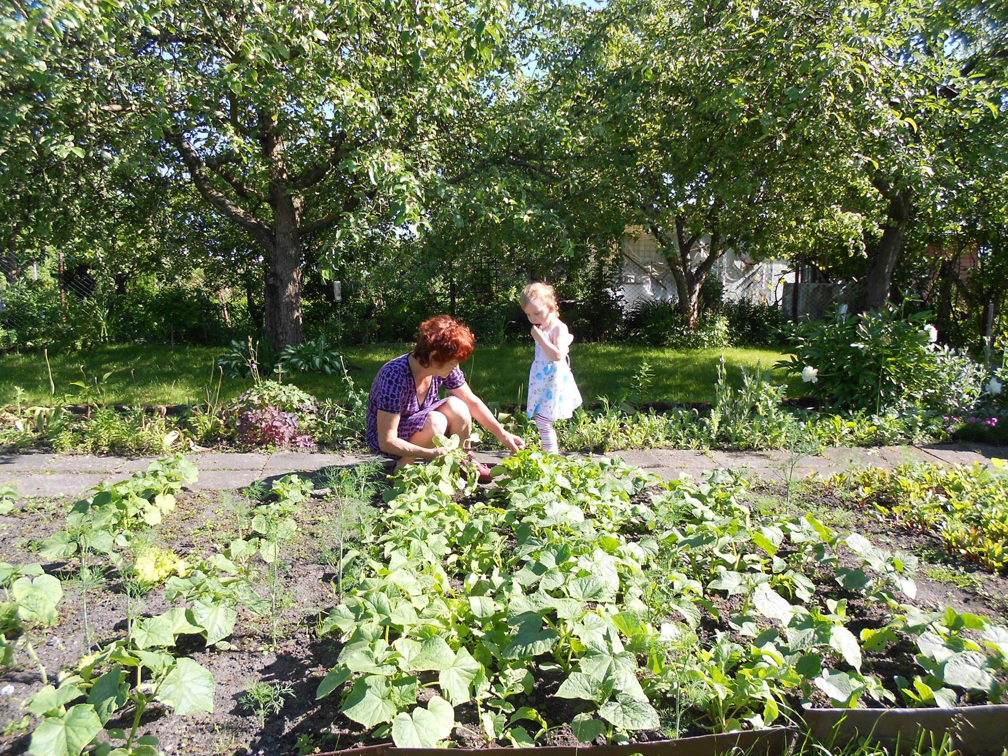 Ja i moja  śmieszka ,pomysłowa  wnusia 