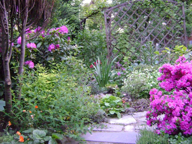 Jest to jedno ze zdjęć wysłanych na konkurs w 2015 roku-zajeliśmy wtedy II miejsce.