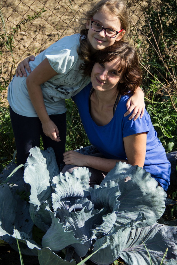 Kapusta w tym roku wyjątkowo dopisała