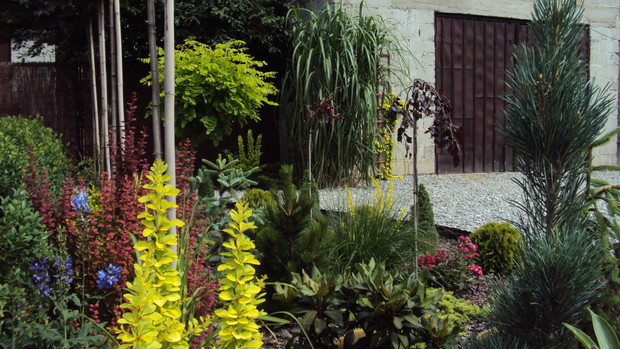 Kolory w ogrodzie to podstawa