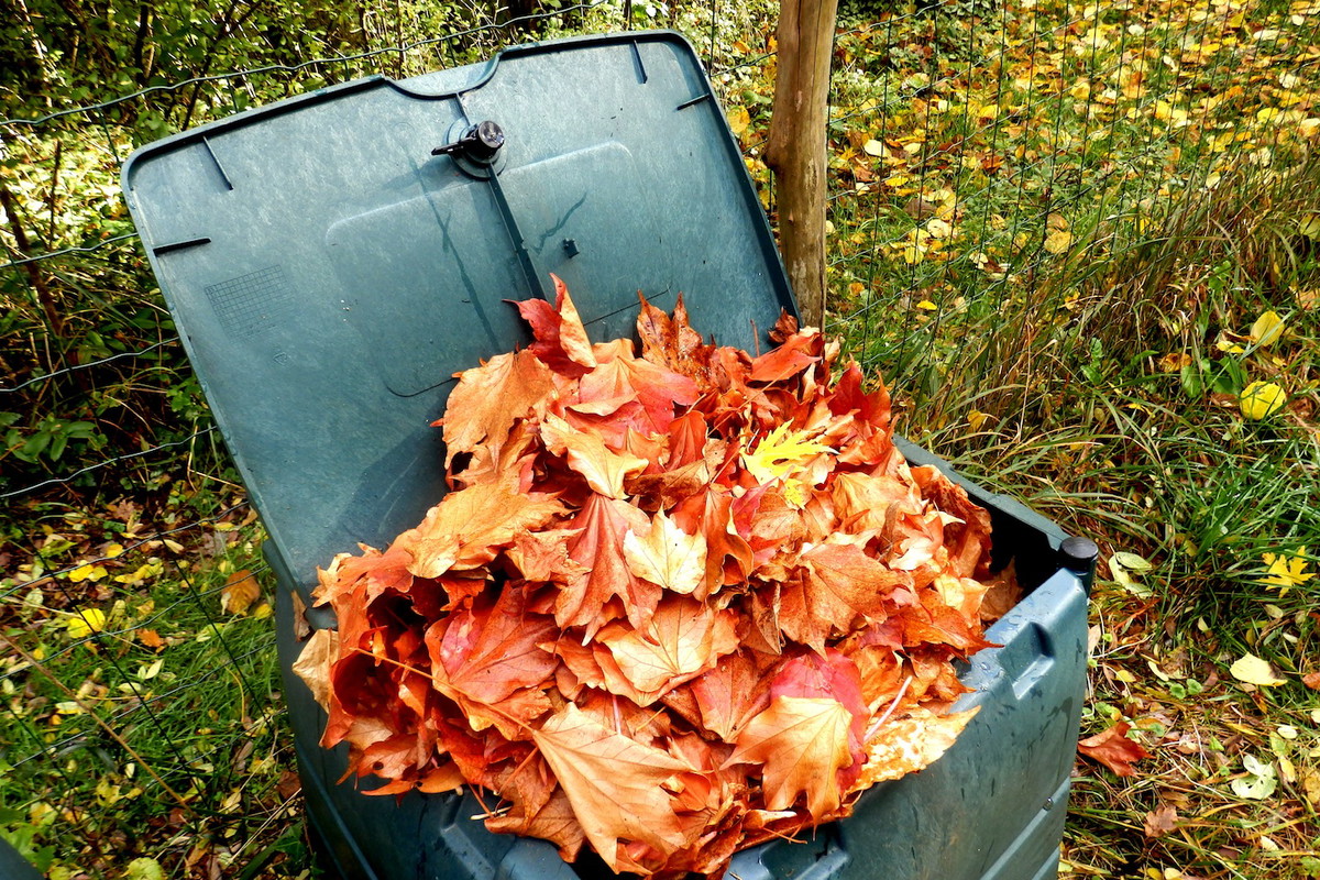 Kompostując liście należy je od czasu do czasu podlać wodą, by przyśpieszyć proces rozkładu (zdj.: Fotolia.com)