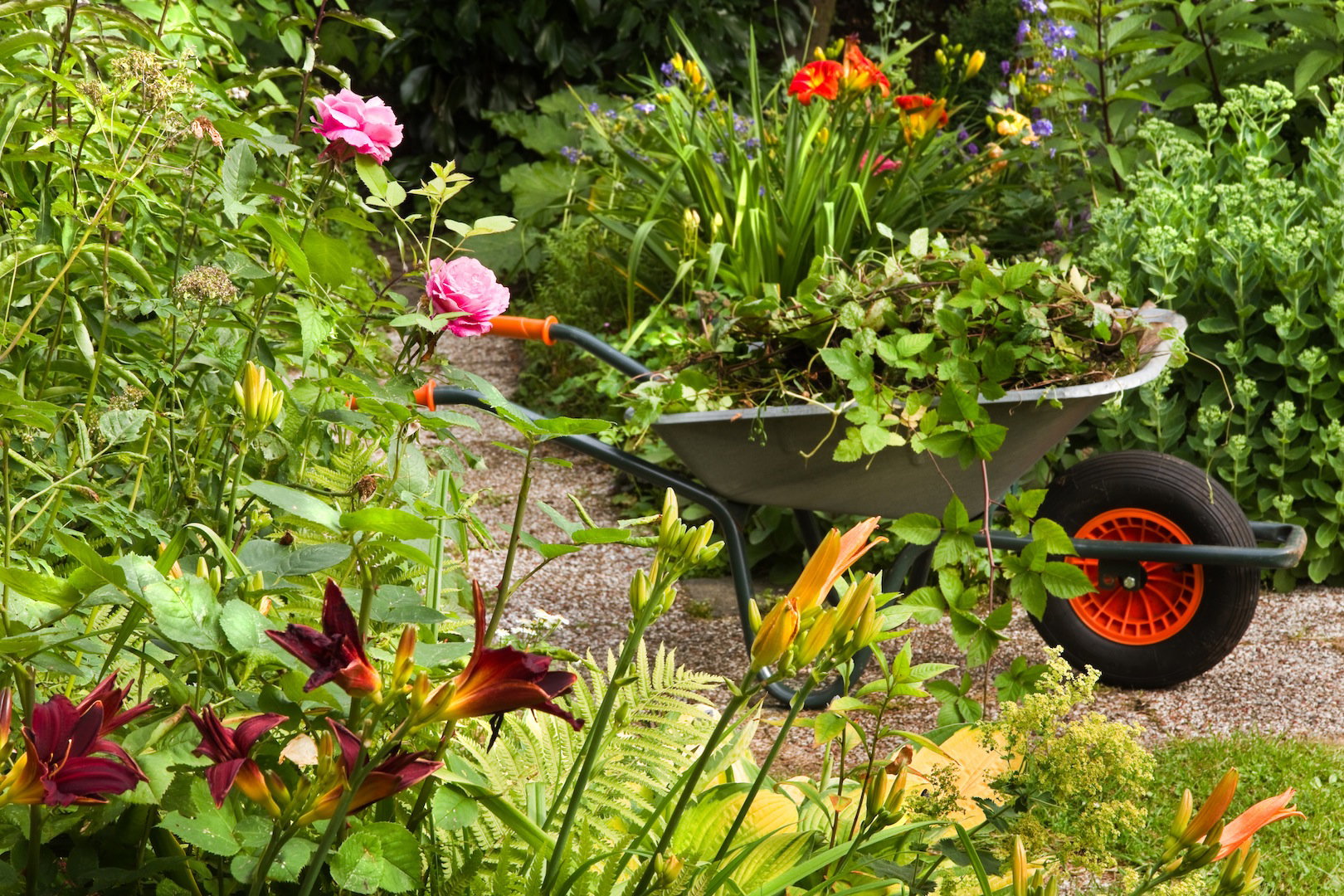 Kreatywność, korzystanie z tego co przynosi nam natura oraz ciężka praca sprawiają, że prowadzenie wymarzonego ogrodu nie musi wiązać się ze znacznymi wydatkami. (zdj.: Adobe Stock)