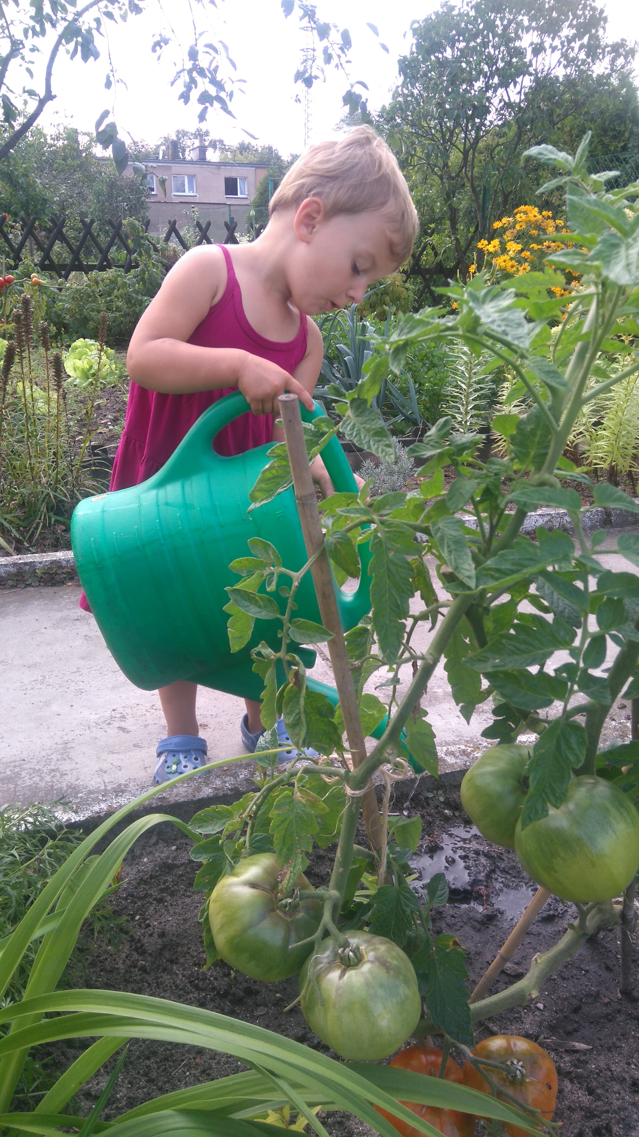 Mała-wielka ogrodniczka