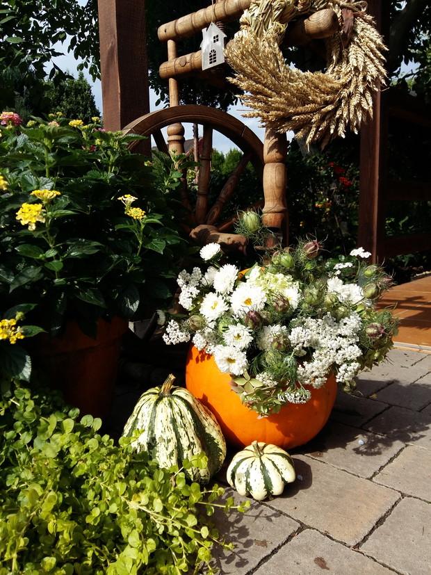 Moje ulubione jesienne dekoracje.Często wykorzystuje dynie jako wazony a kwiaty dobieram z ogródka lub z pobliskiej łąki.