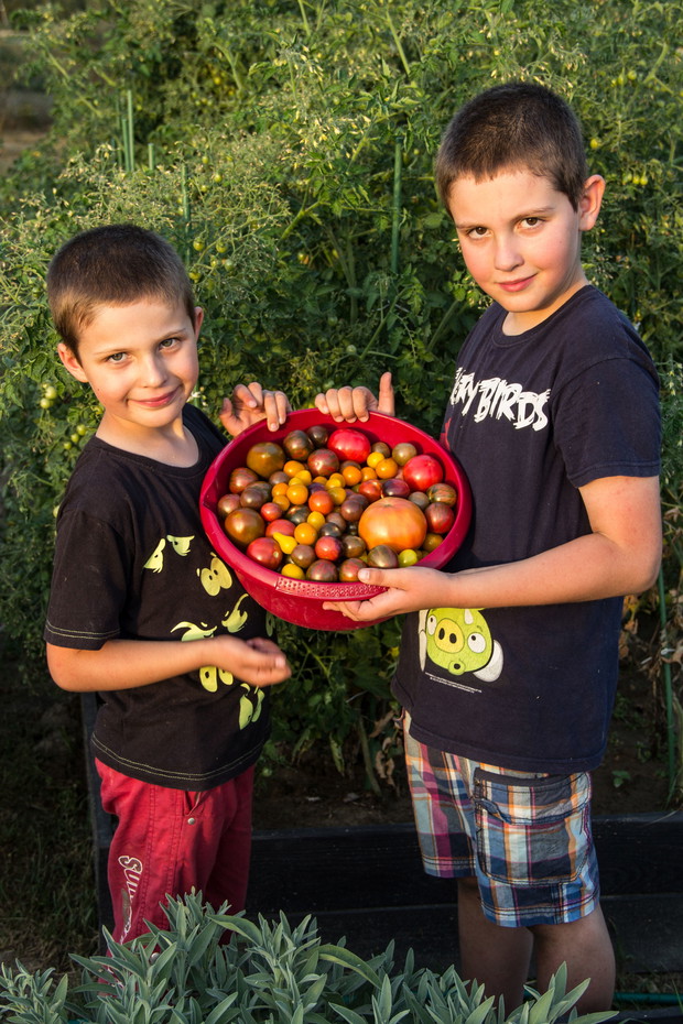 Najlepsze prosto z krzaczka.