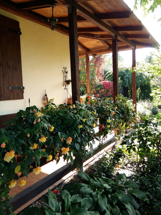 Nasza wyremontowana altanka.Tu mąż miał pole do popisu...wszystko to jego dzieło :)