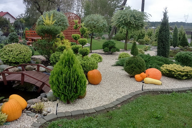 Nasze rodzinne królestwo .