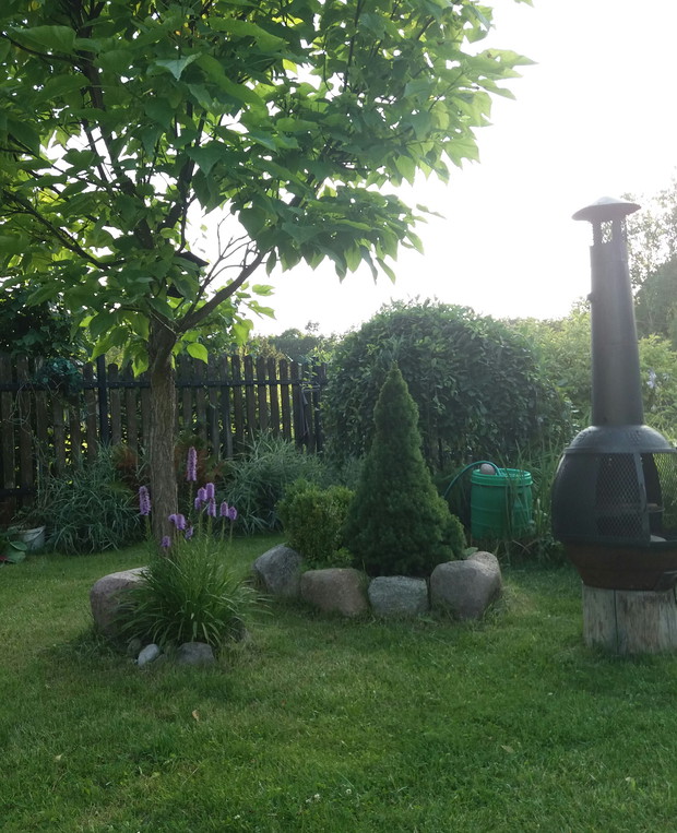 Obwoluty w koło drzew.