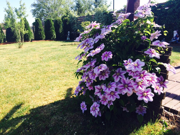 Piękno kwiatów zawsze dodaje niepowtarzalnego uroku:)