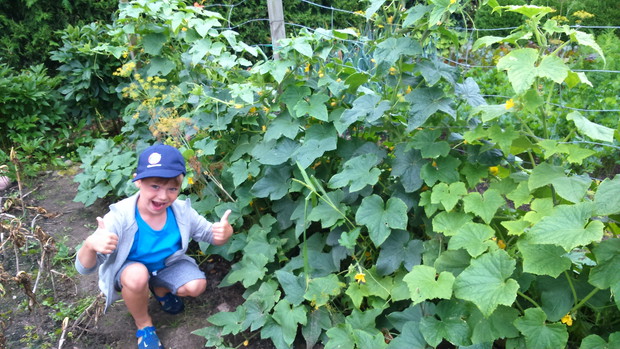 Piotruś reklamuje nasze ogóreczki