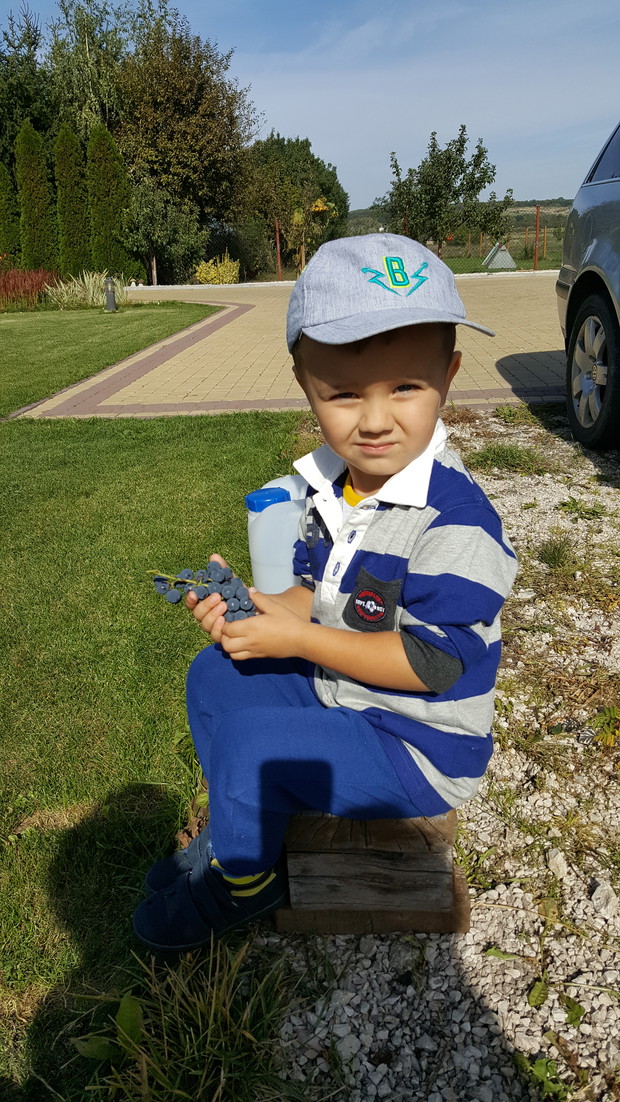 po zabawie należy się deser - pyszne winogrono z własnego ogródka