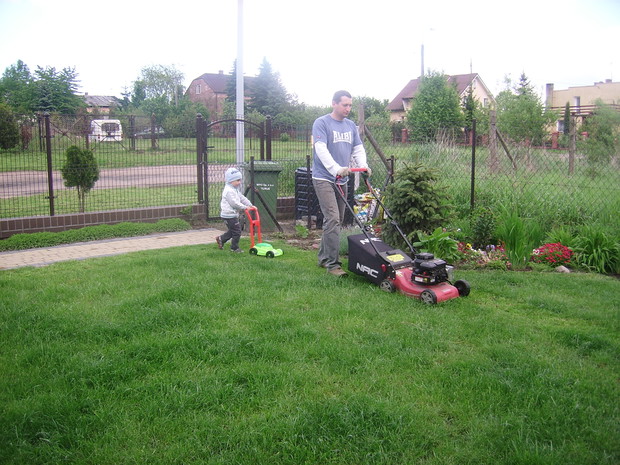 Podstawą ładnego trawnika jest regularne koszenie - każdy ma swój sprzęt