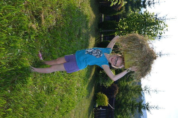 Porządki na działce