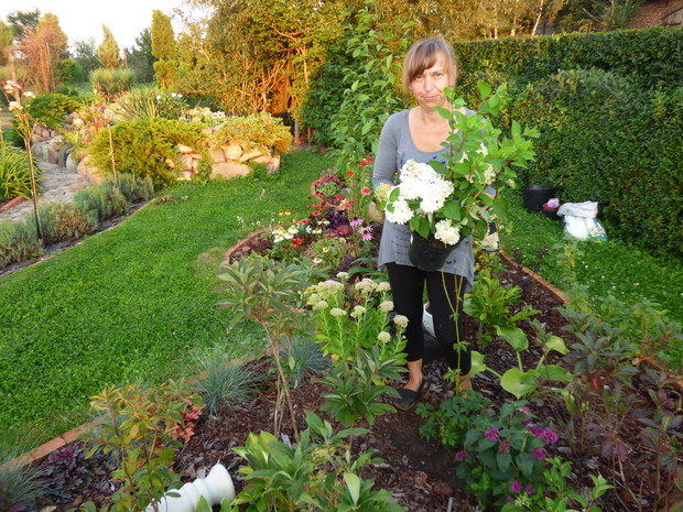 Pozdrawiam z mojego ogrodu....