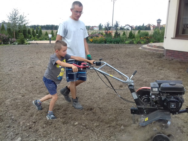 Prace przy zakładaniu trawnika