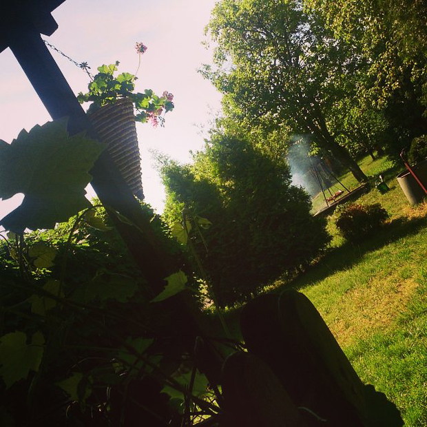 Przydomkowa perspektywa