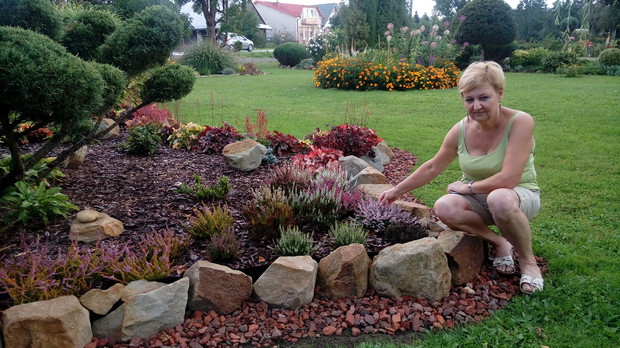 Rabata z żurawkami i wrzosami, założona 2 lata temu, powoli nabiera wyglądu.