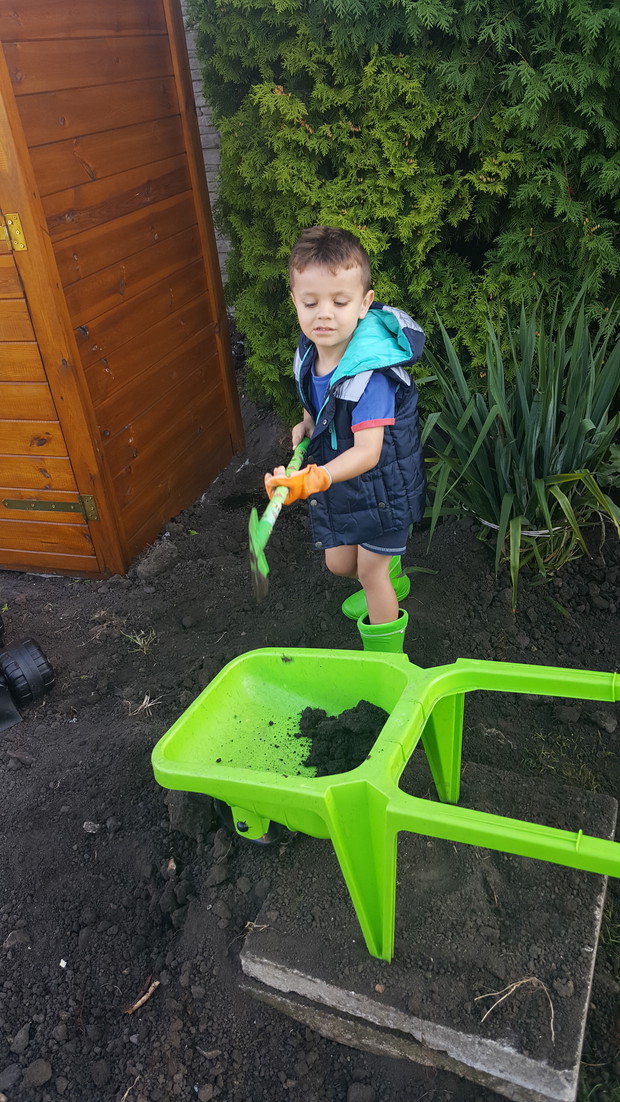 Rozplantowanie ziemi - bez najlepszego pomocnika na świecie nie dałabym sobie rady.