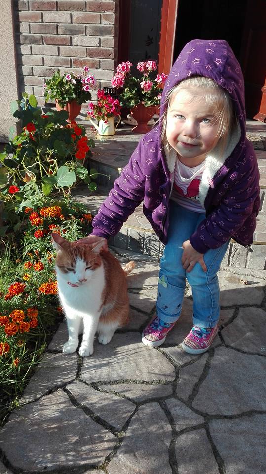 Rudzik ten należy do rodziny i tez kocha nasz ogród :)