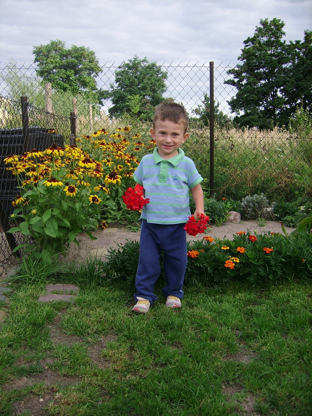 Takie pelargonie tylko u nas