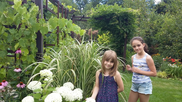 Takie piękne hortensje wyhodowałyśmy razem