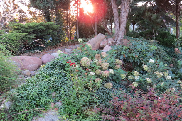 Trochę już tak na pożegnanie.