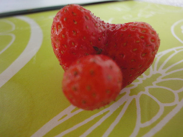 Truskawki nie zawsze są okrągłe,ale zawsze smaczne