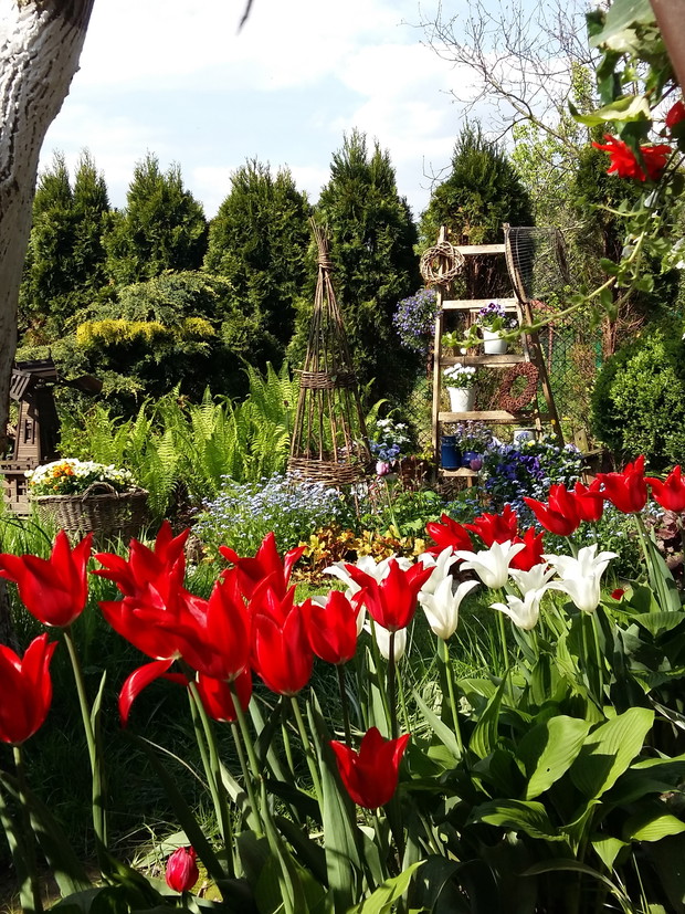 Tulipany i inne kwiaty są wszędzie,musi być kolorowo,bo dzieciaki tak lubią,my też :) stworzylismy fajne miejsce,w którym odpoczywać to prawdziwa przyjemność